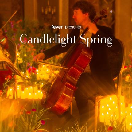 Candlelight Spring Best of Queen