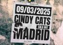 Cindy Cats