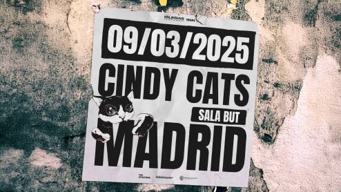 Cindy Cats