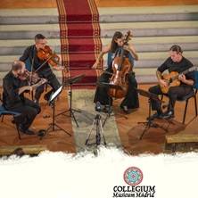 Collegium Musicum Madrid