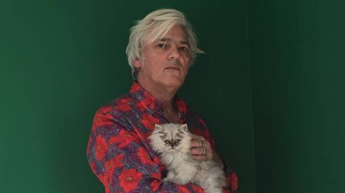 Robyn Hitchcock