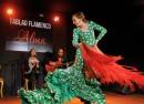 Flamenco show en Tablao Flamenco Alma en Mallorca