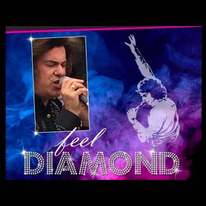 Feel Diamond - Tribute to Neil Diamond