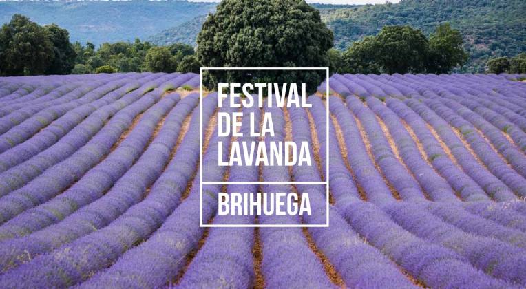 Festival de la Lavanda