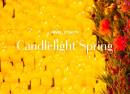 Candlelight Spring le Quattro Stagioni di Vivaldi