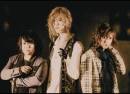 Nicori Light Tours