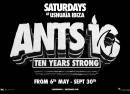 Ants
