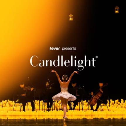 Candlelight Schwanensee