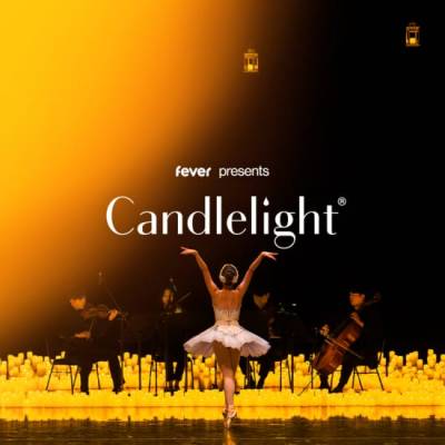 Candlelight Schwanensee