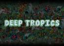 Deep Tropics Festival