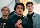Last Dinosaurs