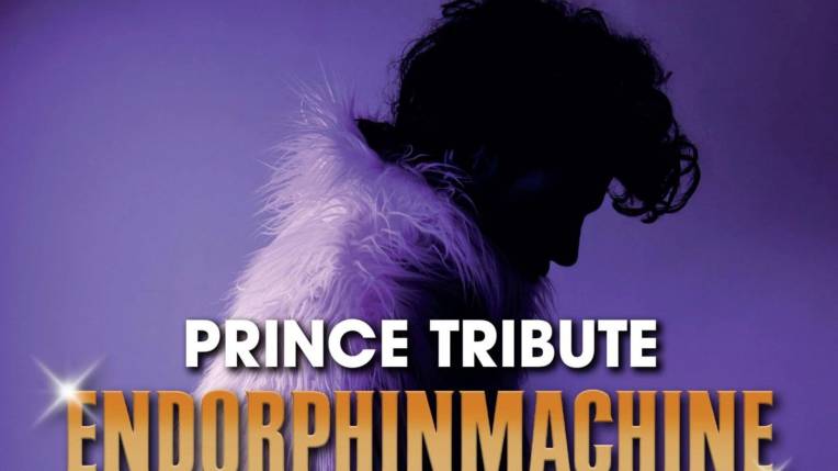 Prince Tribute Endorphinmachine