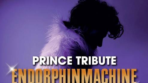 Prince Tribute Endorphinmachine