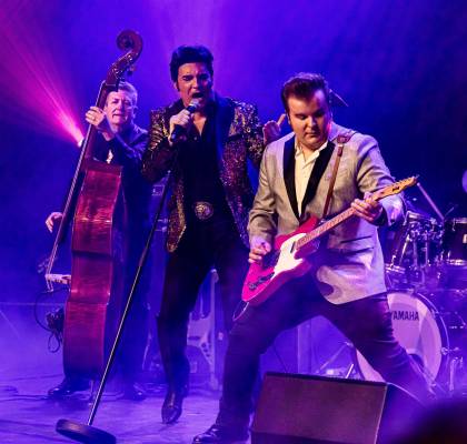 The Elvis Concert