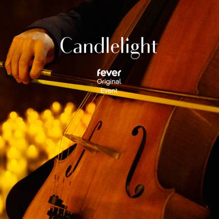 Candlelight Vivaldis „Vier Jahreszeiten“ im Meistersaal