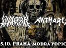 Anthares