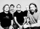 Gin Blossoms