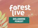 Delamere Forest