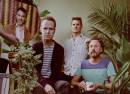 Guster