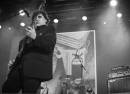 The Chameleons