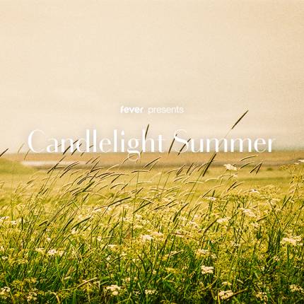 Candlelight Summer  Hommage à Taylor Swift