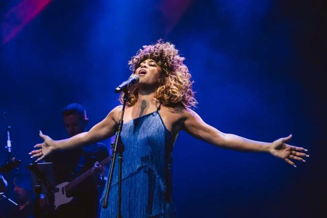 Tribute to Tina Turner