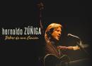 Hernaldo Zuniga
