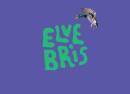 Elvebris