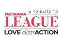 Love Distraction