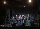 Mark Knopfler Tribute