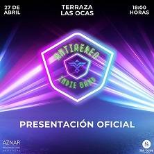 Antiaereo Indie Band