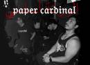 Paper Cardinal