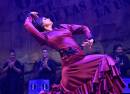 Festival Internacional del Cante de las Minas