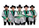 Los Tigrillos