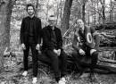 Interpol