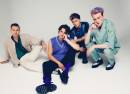 The Vamps
