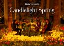 Candlelight Spring  Hommage à Adele