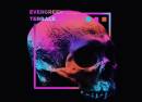 Evergreen Terrace