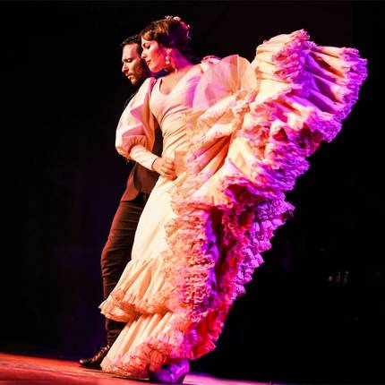 Espectáculo de Flamenco en directo