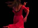 Espectáculo de flamenco en El Palacio Andaluz