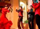 Espectáculo de flamenco en la Casa de la Memoria