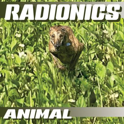 Radionics