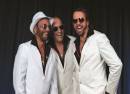 Bee Gees Now