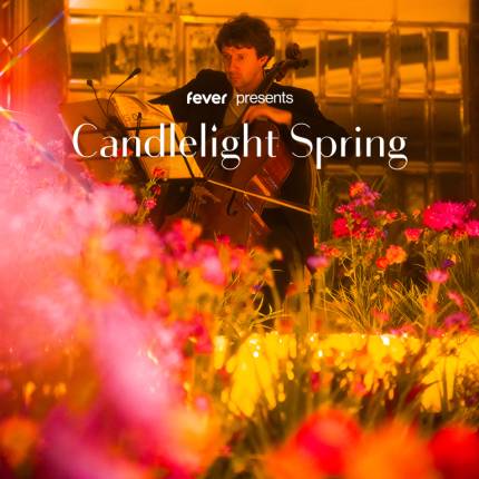 Candlelight Spring Coldplay meets Imagine Dragons in der Peterskirche