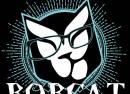 Bobcat
