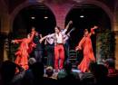 Flamenco Show