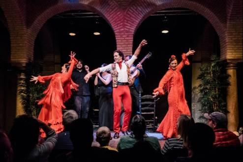 Flamenco Show