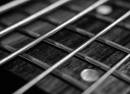 Lil Ed & The Blues Imperials