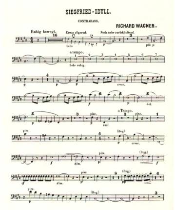 Wagner's Siegfried Idyll