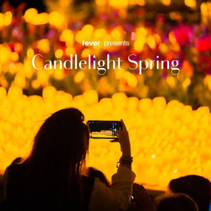 Candlelight Spring A Jazz Tribute to Frank Sinatra